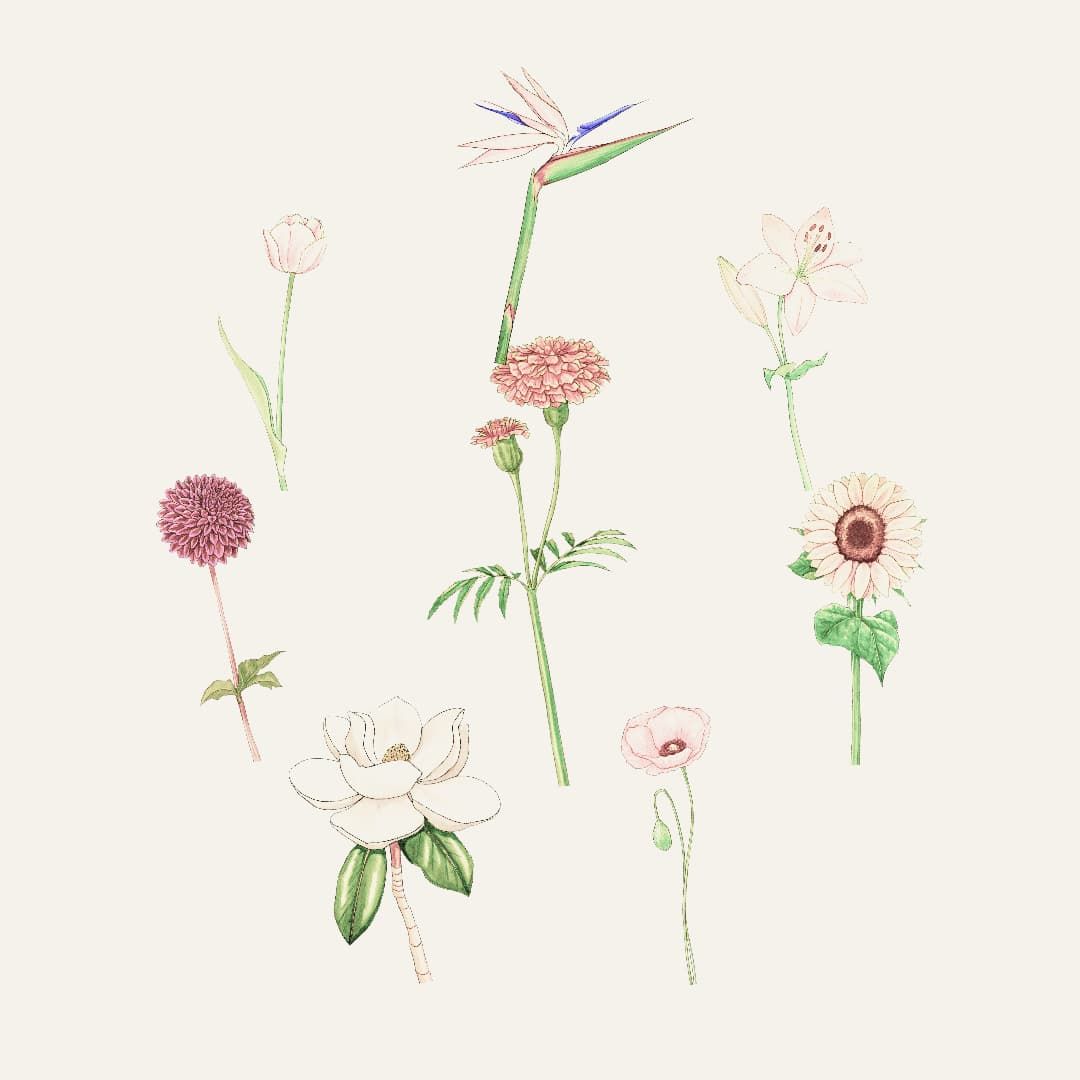 En todos lados al final del tiempo, videogame by Óscar A. Montiel. This image represents flowers recollected by the player. Illustration by Lilian Tendilla (@lilianilustra)